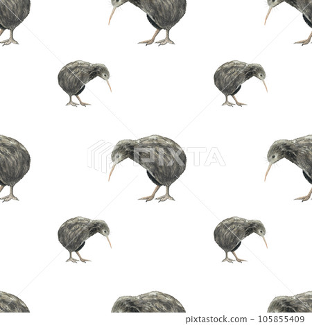 Watercolour kiwi bird seamless pattern. Hand drawn illustration isolated on white Watercolour kiwi bird seamless pattern. Hand drawn illustration isolated on white 105855409