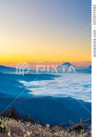 【富士山素材】黎明時分的富士山和秋天從高保地高原看到的諏訪湖雲海【長野縣】 105855482