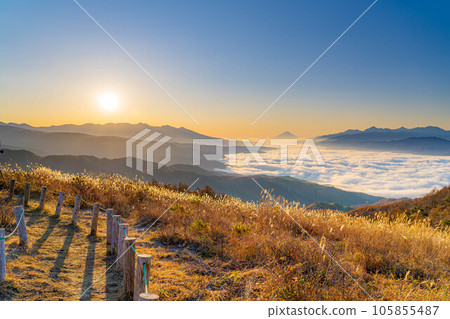 [Mt. Fuji material] Mt. Fuji at dawn and the sea of clouds of Lake Suwa seen from Takabocchi Highland in autumn [Nagano Prefecture] 105855487