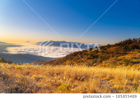 [Mt. Fuji material] Mt. Fuji at dawn and the sea of clouds of Lake Suwa seen from Takabocchi Highland in autumn [Nagano Prefecture] 105855489