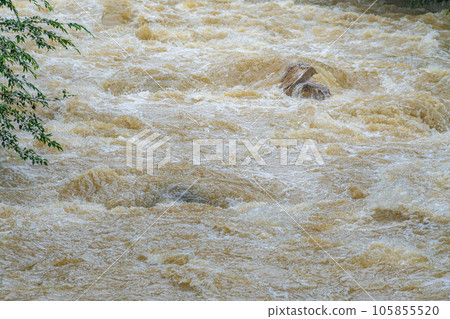 [自然災害] 大雨後渾濁的河流[長野縣] 105855520