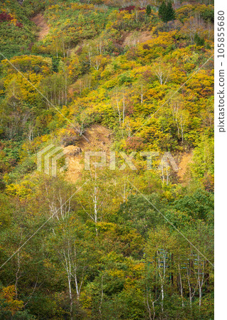 “岩手縣”八幡平紅葉之秋 105855680
