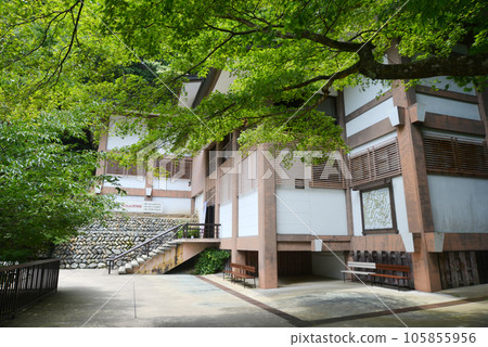 Kurama Temple Reihoden Sakyo Ward, Kyoto City Kurama Temple Reihoden Sakyo Ward, Kyoto City 105855956