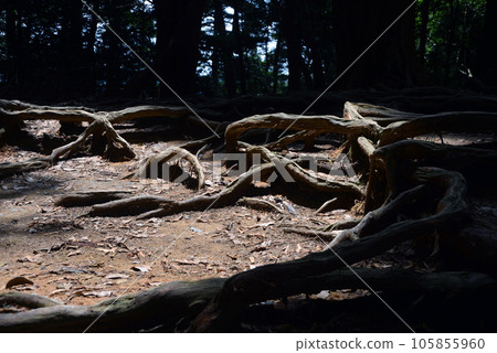 Kurama-dera Kinone Michi, Sakyo-ku, Kyoto City 105855960