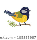 Great tit. Vector illustration of a feathered titmouse character. Cute bird in flat cartoon style. Isolated on white background 105855967
