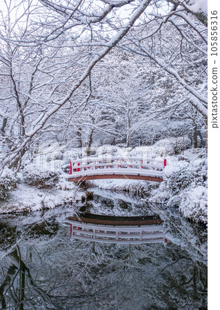 在雪的秋葉 105856316