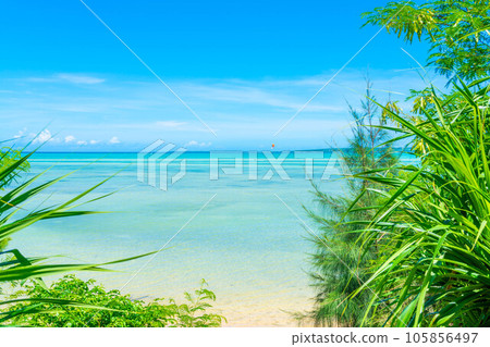 宮古島海 105856497