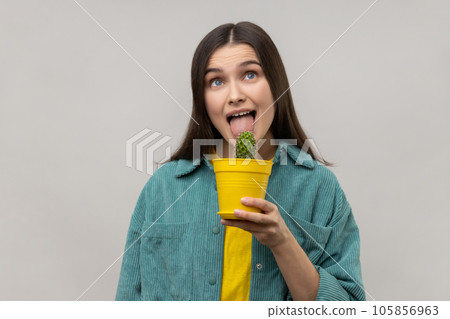Portrait of young funny childish woman holding flower pot with cactus, licking prickly flower with tongue ,wearing casual style jacket. Indoor studio shot isolated on gray background. Portrait of young funny childish woman holding flower pot with cactus, licking prickly flower with tongue ,wearing casual style jacket. Indoor studio shot isolated on gray background. 105856963
