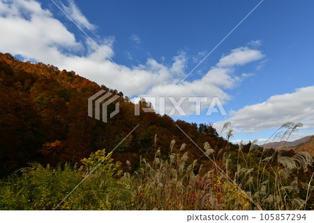 Scenery in a quiet Oguni mountain with pampas grass, autumn leaves and blue sky 105857294