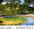 beautiful japanese garden pond 105857621