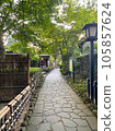 Path of Shuzenji 105857624