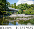 Beautiful Japanese garden pond and houses 105857625