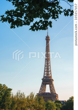 Sunset view of the bronze Eiffel Tower against a vibrant sky, with a green landscape. 105857857