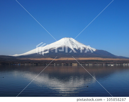 從山中湖看冬天的富士山 105858287