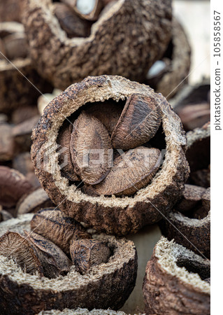 Brazil nuts on a board 105858567