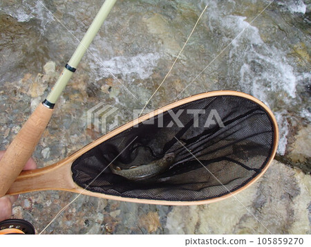 月亮的岩魚 月亮的岩魚 105859270