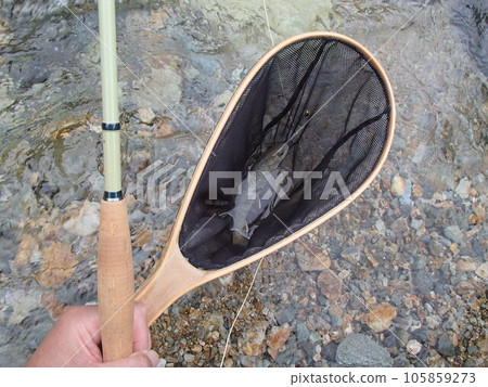 rock fish of the moon rock fish of the moon 105859273