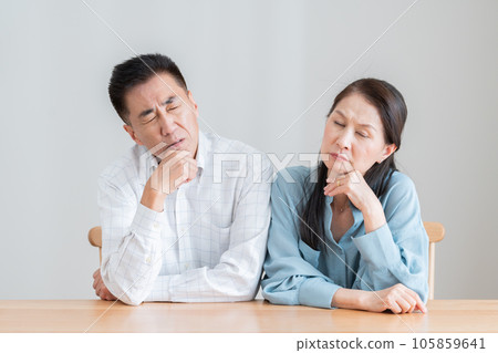 思維的年長夫婦 105859641