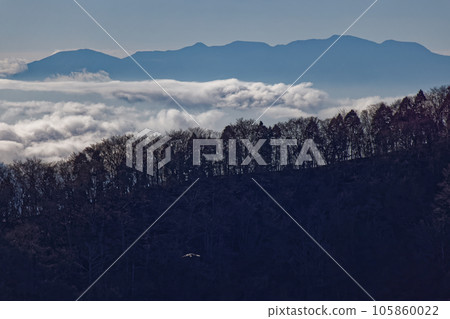 Mt. Ashitaka and the sea of clouds seen from Teppo Kinokashira Mt. Ashitaka and the sea of clouds seen from Teppo Kinokashira 105860022