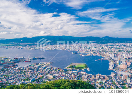 (北海道)從函館山展望台俯瞰函館市 (北海道)從函館山展望台俯瞰函館市 105860064