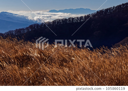 從鐵炮木之頭看到的阿席達卡山和雲海 105860119
