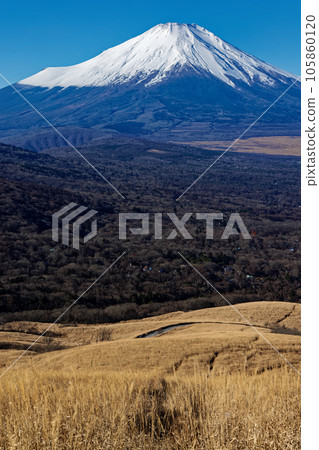 從鐵炮木之頭眺望冬天的富士山 105860120