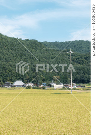 國家風景在秋天 105860459