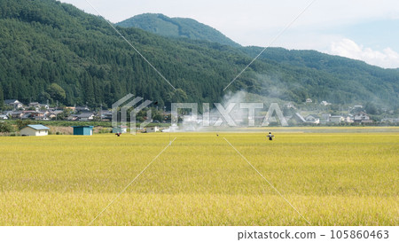 Country landscape in autumn Country landscape in autumn 105860463