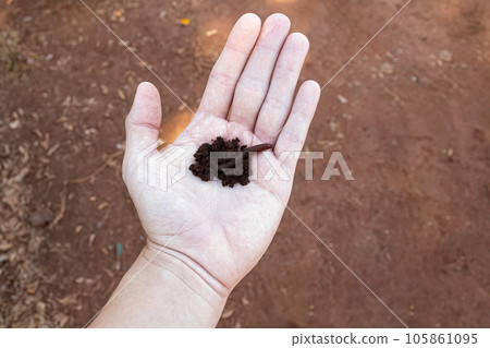 hand with dirt and earthworm hand with dirt and earthworm 105861095