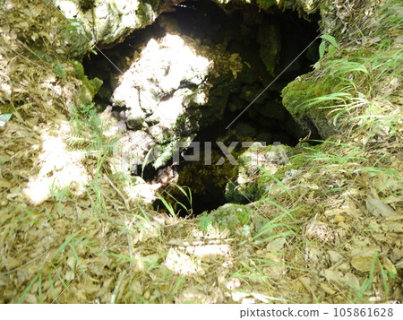 Narusawa Lava Tree Mold (Special Natural Monument) 105861628