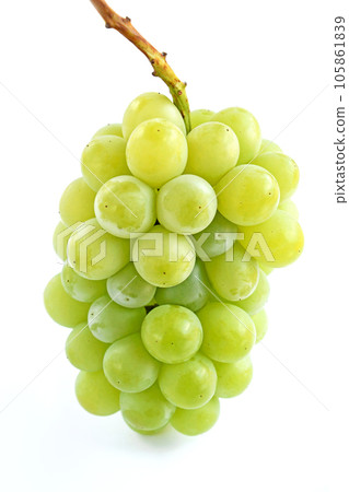 grape (yellow) grape (yellow) 105861839