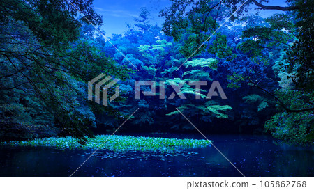 清晨藍色池塘 清晨藍色池塘 105862768