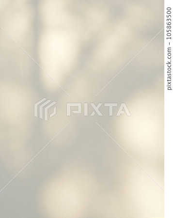Leaf shadow and light on concrete wall background 105863500