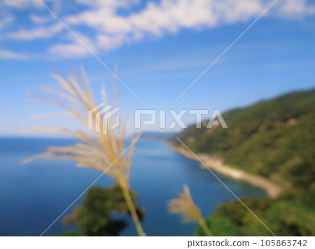 Background blur material Autumn clouds, sea and pampas grass scenery (horizontal composition) 105863742