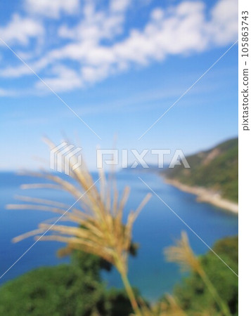 模糊的背景材料、秋雲、大海和潘帕斯草景觀（垂直構圖） 105863743