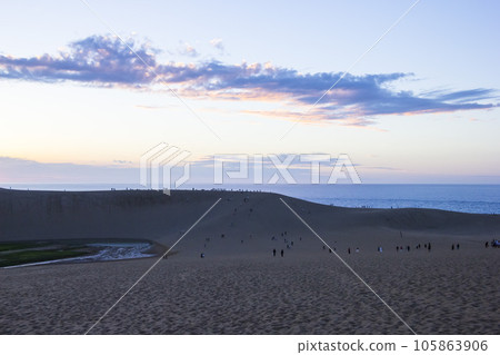 夏季鳥取沙丘的夜景及其形態 鳥取縣 鳥取沙丘 夏季鳥取沙丘的夜景及其形態 鳥取縣 鳥取沙丘 105863906