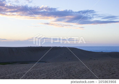 Evening view of Tottori Sand Dunes in summer and its patterns Tottori Prefecture Tottori Sand Dunes Evening view of Tottori Sand Dunes in summer and its patterns Tottori Prefecture Tottori Sand Dunes 105863908