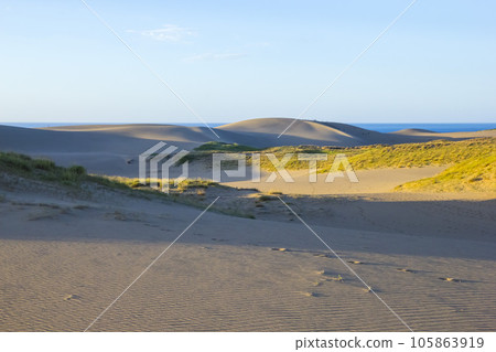 Evening view of Tottori Sand Dunes in summer and its patterns Tottori Prefecture Tottori Sand Dunes 105863919