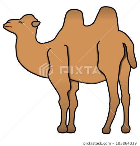 Pop and cute camel illustration Pop and cute camel illustration 105864039