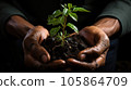 Sowing Life 105864709