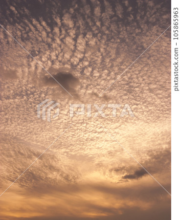 Trend color background Trend color background 105865963