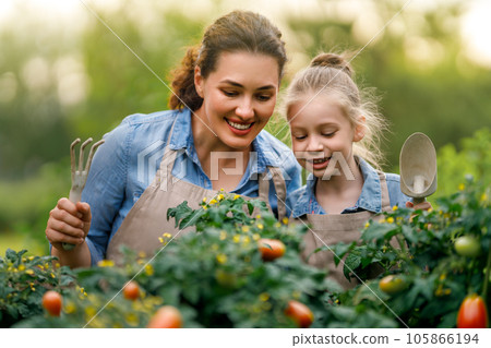 mother and daughter gardening in the backyard 105866194