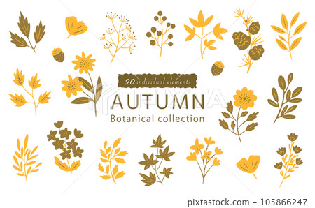 Autumn botanical illustration material set 20 points 105866247