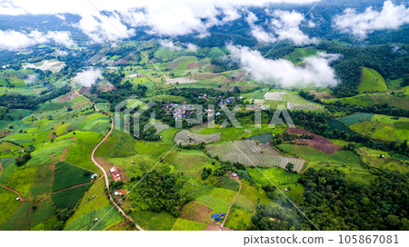 top view rice fields on terraced  , rice plantations , Chiangmai province , North of thailand 105867081