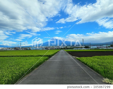 沿著農場道路的夏季富士山 沿著農場道路的夏季富士山 105867299