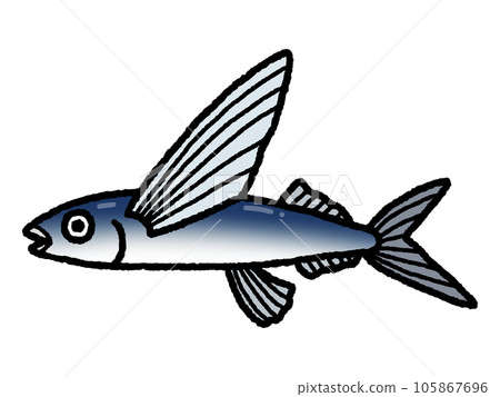 Flying fish/Fish Flying fish/Fish 105867696