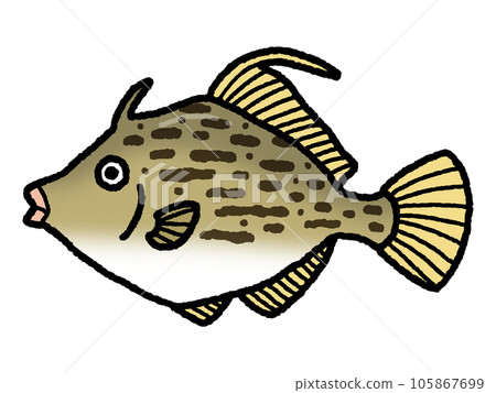 filefish, fish - Stock Illustration [105867699] - PIXTA