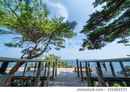 “岩手縣”雷岩/蘭芳谷展望台五石海岸 “岩手縣”雷岩/蘭芳谷展望台五石海岸 105868537