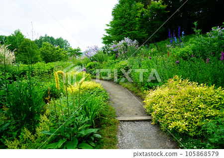 北海道風之花園之夏 北海道風之花園之夏 105868579