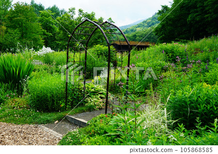 北海道風之花園之夏 105868585